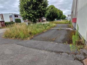 Débroussaillage d'un site d'usine